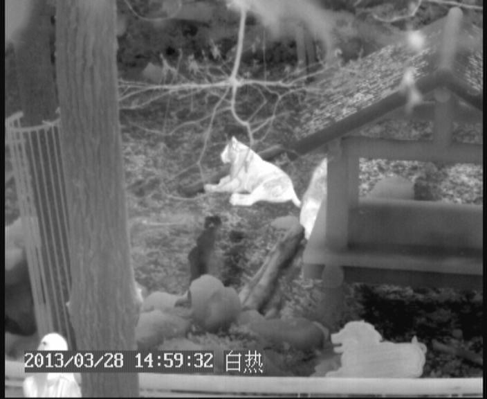 紅外熱像儀熱圖、效果圖怎么看
